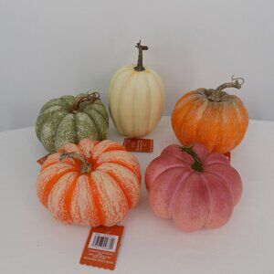 Set of 5 Ashland Fall Decorative Pumpkins Lightweight Hollow Halloween Decor New